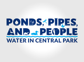 Discover Water in Central Park